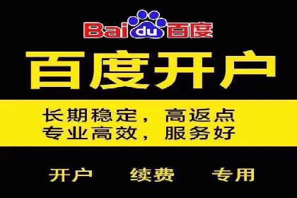 成功SEM服务案例分析报告